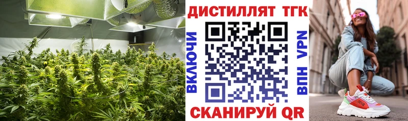Дистиллят ТГК жижа  kraken как войти  Усть-Лабинск  купить  
