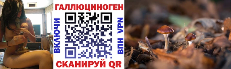 закладки  Усть-Лабинск  Псилоцибиновые грибы Magic Shrooms 